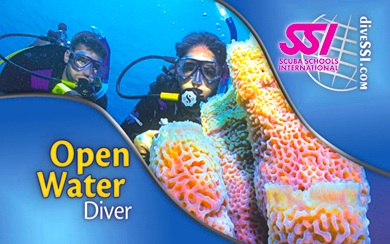 Cours plongée OPEN WATER DIVER